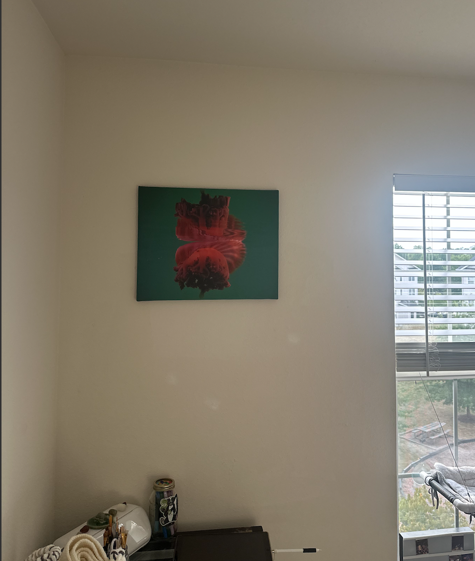 Jellyfish Canvas