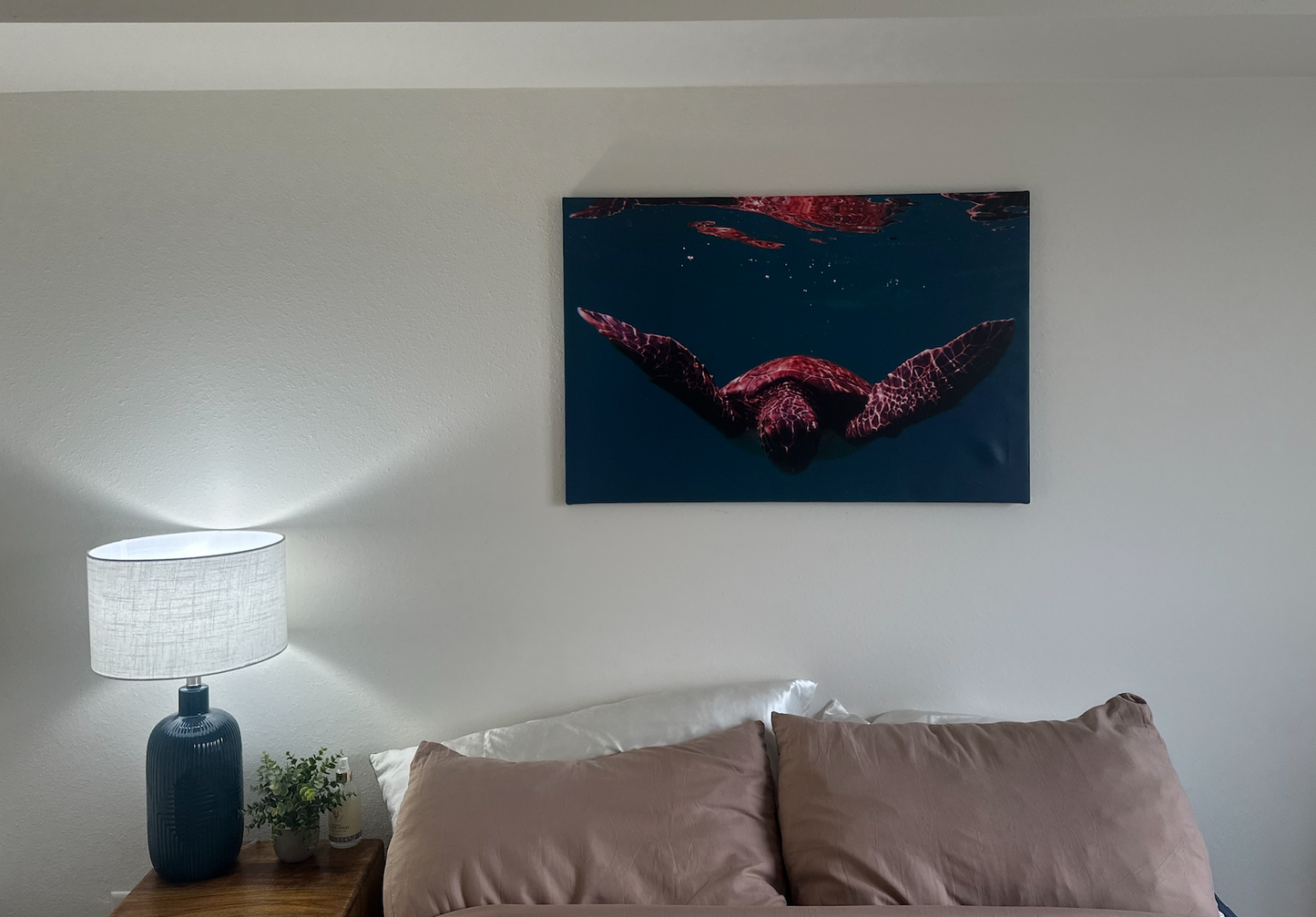 Wings of the Sea